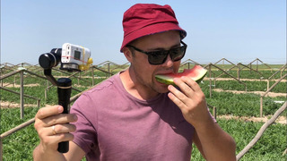 Узбекистан! Первые арбузы во всем СНГ! Свежий урожай 2020 год