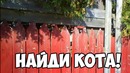 Лютые приколы интернета. Бабка с калашом в метро