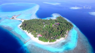 Maldives | Мальдивы FullHD с дрона