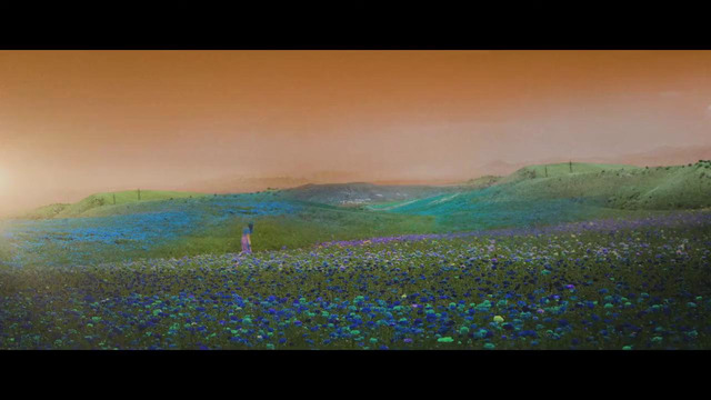 Billie eilish-ilomilo