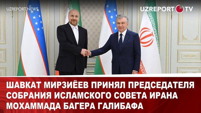 Шавкат Мирзиёев принял председателя Собрания Исламского Совета Ирана Мохаммада Багера Галибафа