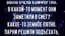 Ребята увидели что-то в снегу и вот что это было