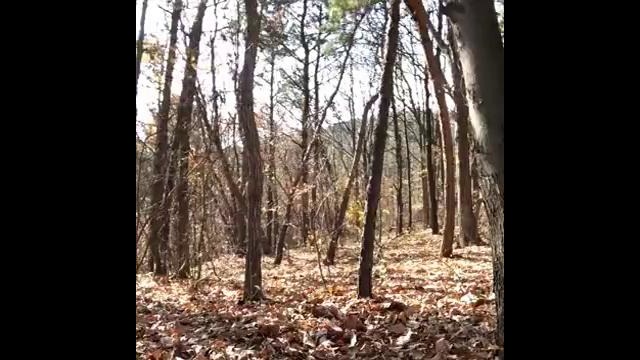 Призрак в Чимгане(слабонервным не смотреть)