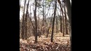 Призрак в Чимгане(слабонервным не смотреть)