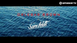 Sam Feldt feat. JRM – Just To Feel Alive (Remix) (Official Music Video)