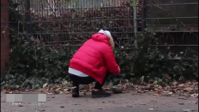 500 тысяч просмотров в день. умора)