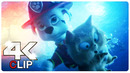 Marshall Saves Humans From Dinosaurs Scene | PAW PATROL 3 THE DINO MOVIE (NEW 2026) MOVIE CLIP 4K