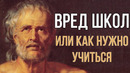 Вред школы или как нужно учиться