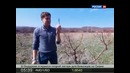 Наука 2.0. НЕпростые вещи. Ковер