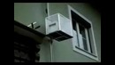Лифт для кота – европейский вариант