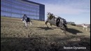 Робот по имени Спот