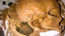 Топ 10 самых странных вещей изъятых в аэропортах