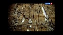 Наука 2.0. Большой скачок. История под ногами