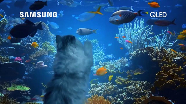 Поверьте в реальность каждого момента – Samsung QLED TV