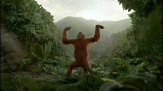 Танцует обезьяна