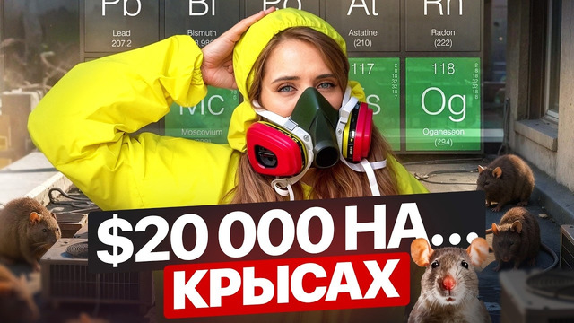 А ОНИ ГОВОРИЛИ, ЧТО ЭТО ГРЯЗНАЯ РАБОТА В США