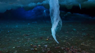 Filming Antarctica’s Underwater Secret | Wild Stories | BBC Earth