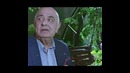 Мебель от Degriz отправит Вас в незабываемое путешествие в райский уголок
