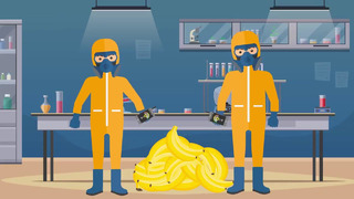 Мир инфографики – Сколько бананов нужно съесть чтобы умереть от радиации
