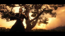 Inuyasha 犬夜叉 – To Love’s End – Erhu Cover by Eliott Tordo
