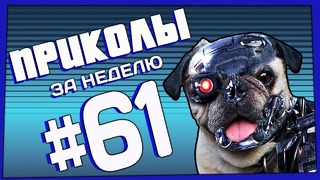 Приколы за неделю #61 | ПОТРАЧЕНО