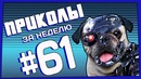 Приколы за неделю #61 | ПОТРАЧЕНО