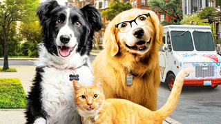 Кошки против собак 3: Лапы, объединяйтесь – Русский трейлер – Фильм 2020