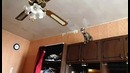 Кот решил прыгнуть на люстру