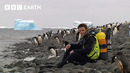 Diving With Penguins In Antarctica | Deep Into The Wild | BBC Earth