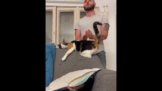 Смешные животные – Смешные кошки/собаки – Смешные видео с животными 216
