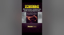 Маленькие хитрости ради популярности #скорпионс #миксшоу #scorpions #shorts
