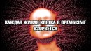 Надо знать