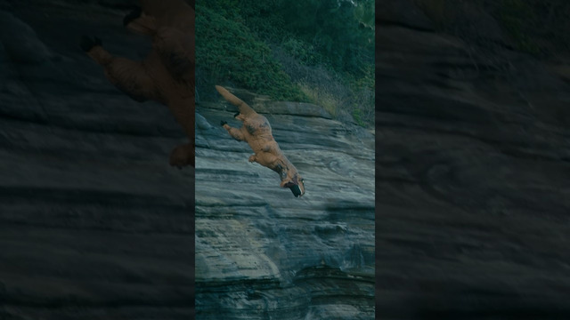 He JUMPED OFF A CLIFF to catch him