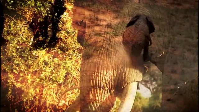 Slash – Beneath the Savage Sun (2015)