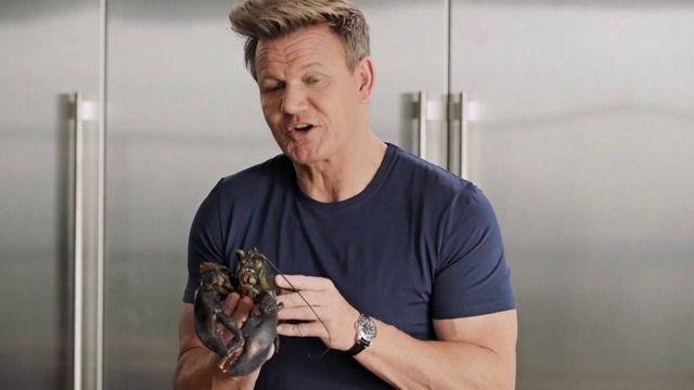 10. Gordon Ramsay Teaches Cooking: Mastering Ingredients Fish Shellfish