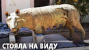 Ливийский фермер, сам того не зная, сохранил ценную статую