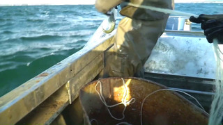 Как ловят СИГА на озере СЕВАН. Рыбная ГАТА