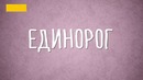 Как правильно гладить животных