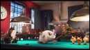 Тайная жизнь домашних животных – Русский Трейлер 2 (2016)