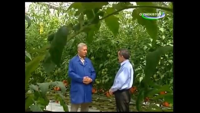 Телепередачи Mening bogim