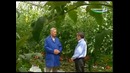Телепередачи Mening bogim