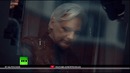Большинство войн — следствие лжи: новое интервью Ассанжа