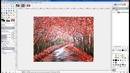 Learn GIMP Tutorial – Day 15 – Custom Brushes – YouTube