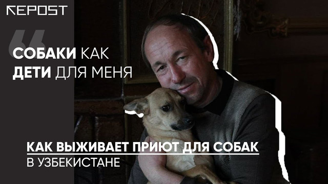 Содержит 400 собак в приюте под Ташкентом: Сергей Руснак