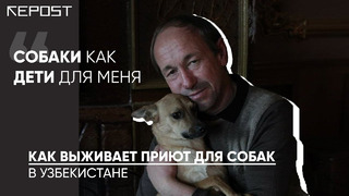 Содержит 400 собак в приюте под Ташкентом: Сергей Руснак