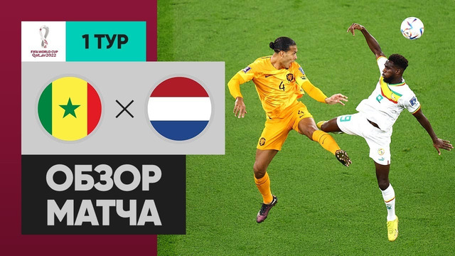 Сенегал – Нидерланды | Чемпионат Мира-2022 | Группа A | 1-й тур | Обзор матча