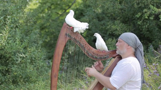Alizbar Celtic harp Under white wings Last fallen leaf Кельтская арфа Relax Music Meditation