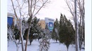 Birinchi qor