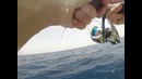 Ловля на джиг в Красном море. Блог Андрея Питерцова