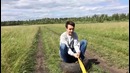 Потрачено – Застрял между коровами